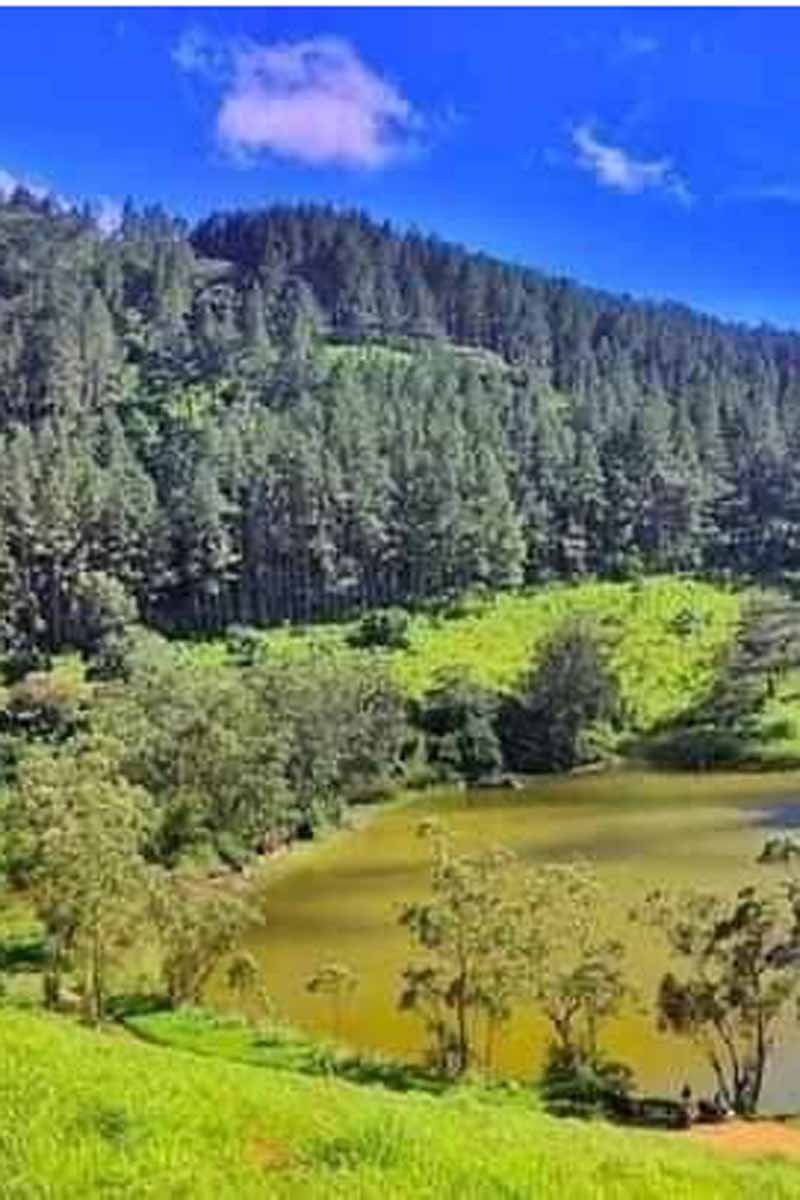 Muthukeliyawa Forest